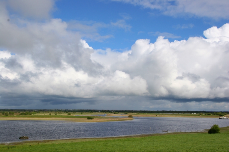Estuary Ireland.jpg